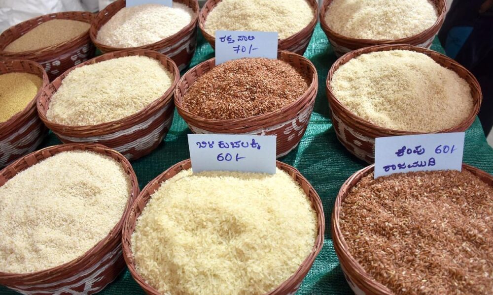 Desi rice mela in Mysuru to highlight rice diversity - AgriInsite