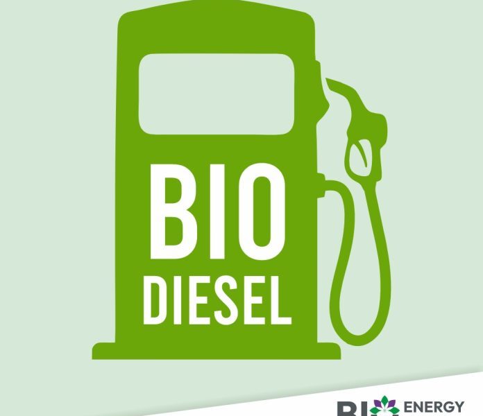 Indonesia To Implement B40 Biodiesel By January 2025, Confident In CPO ...