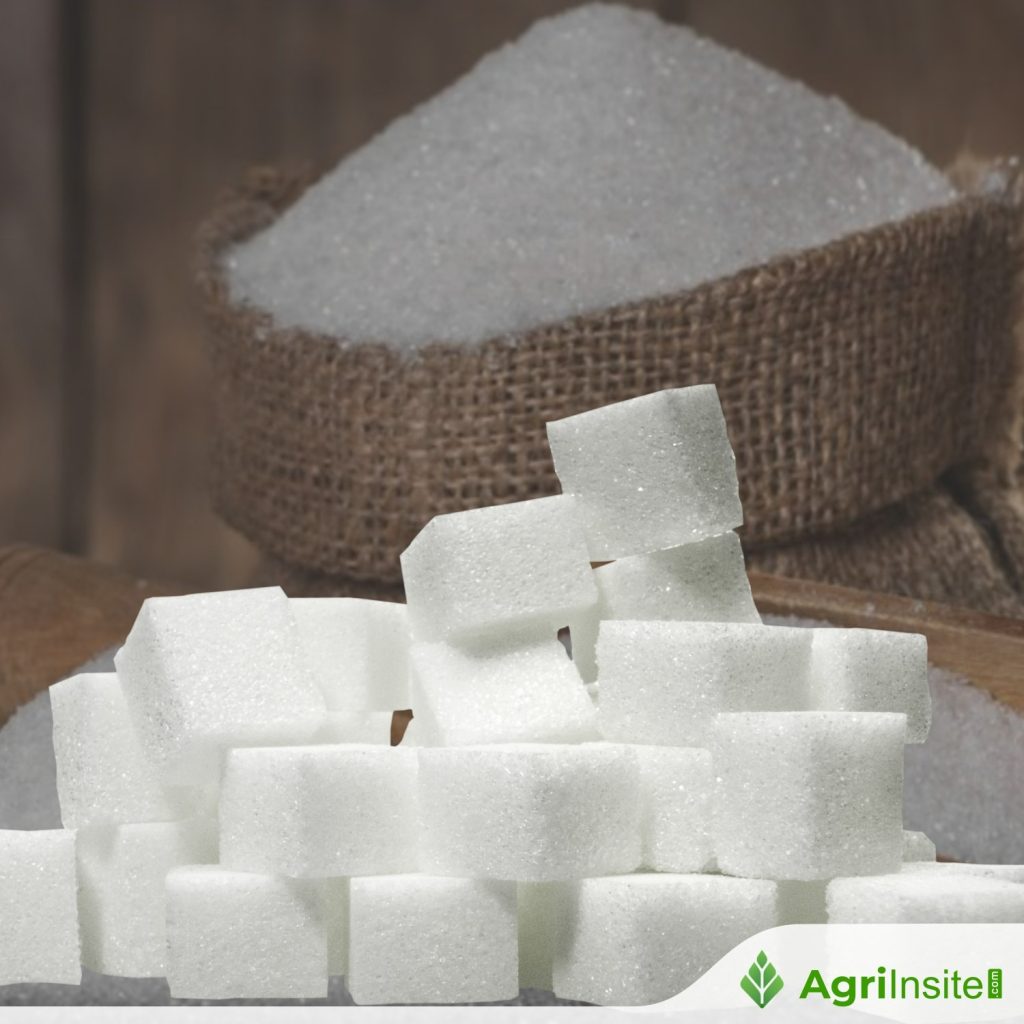 Watch: How sugar is made from sugarcane - AgriInsite