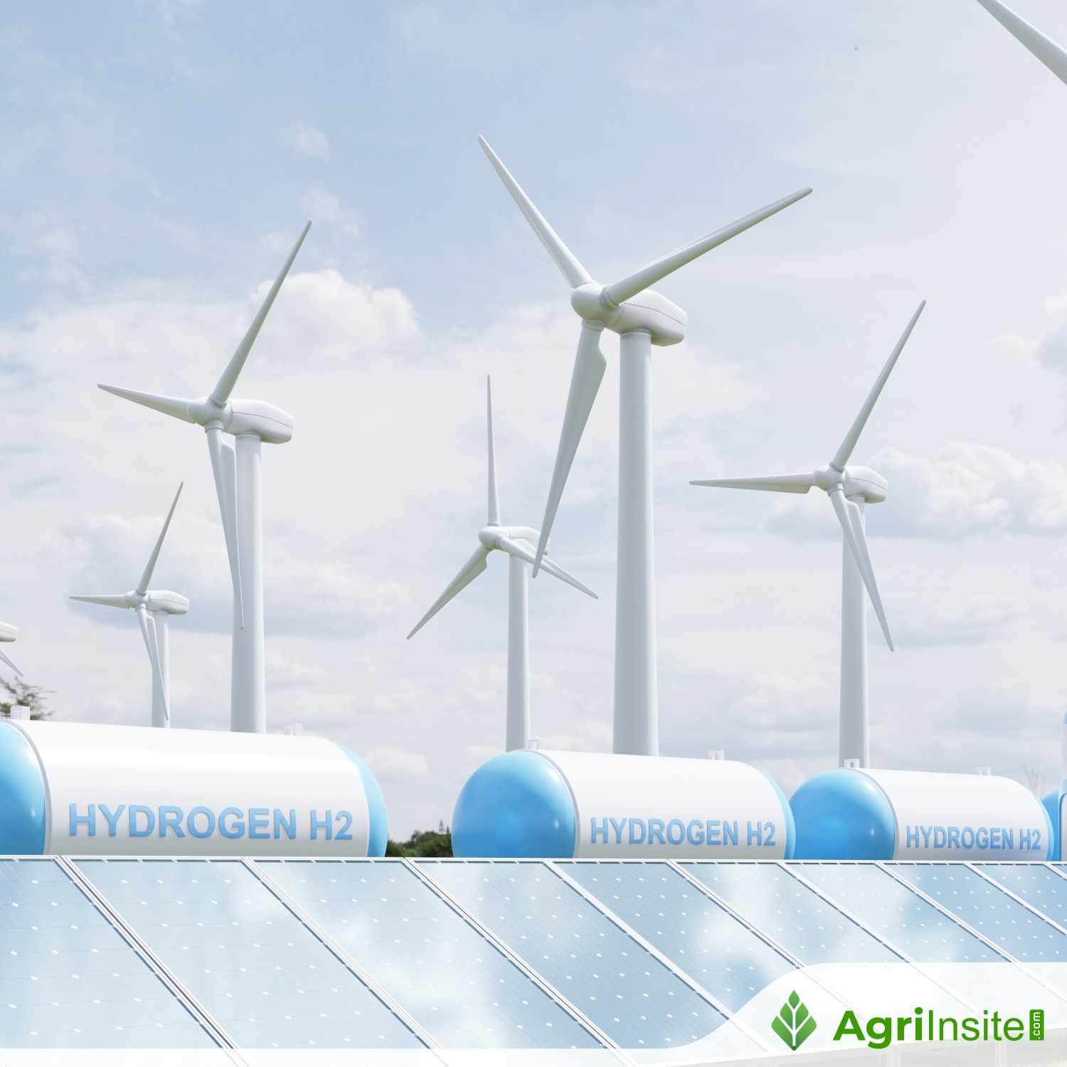 Scatec Secures EUR 30 Million Grant for Egypt Green Hydrogen Project ...