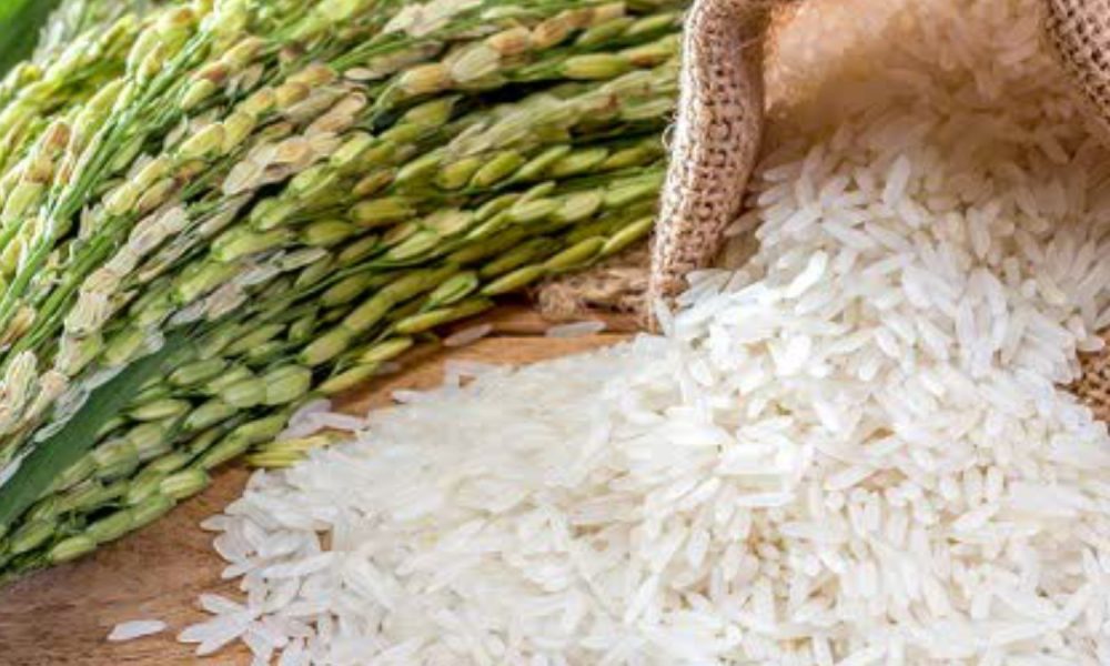 Telangana Restricts Rice Bonus to Seven Approved Varieties, Targets 38 ...