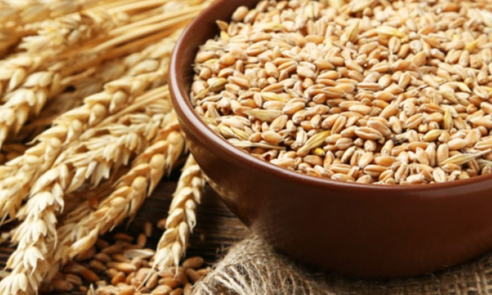 India achieves milestone in wheat production, 120.65 million tonnes ...