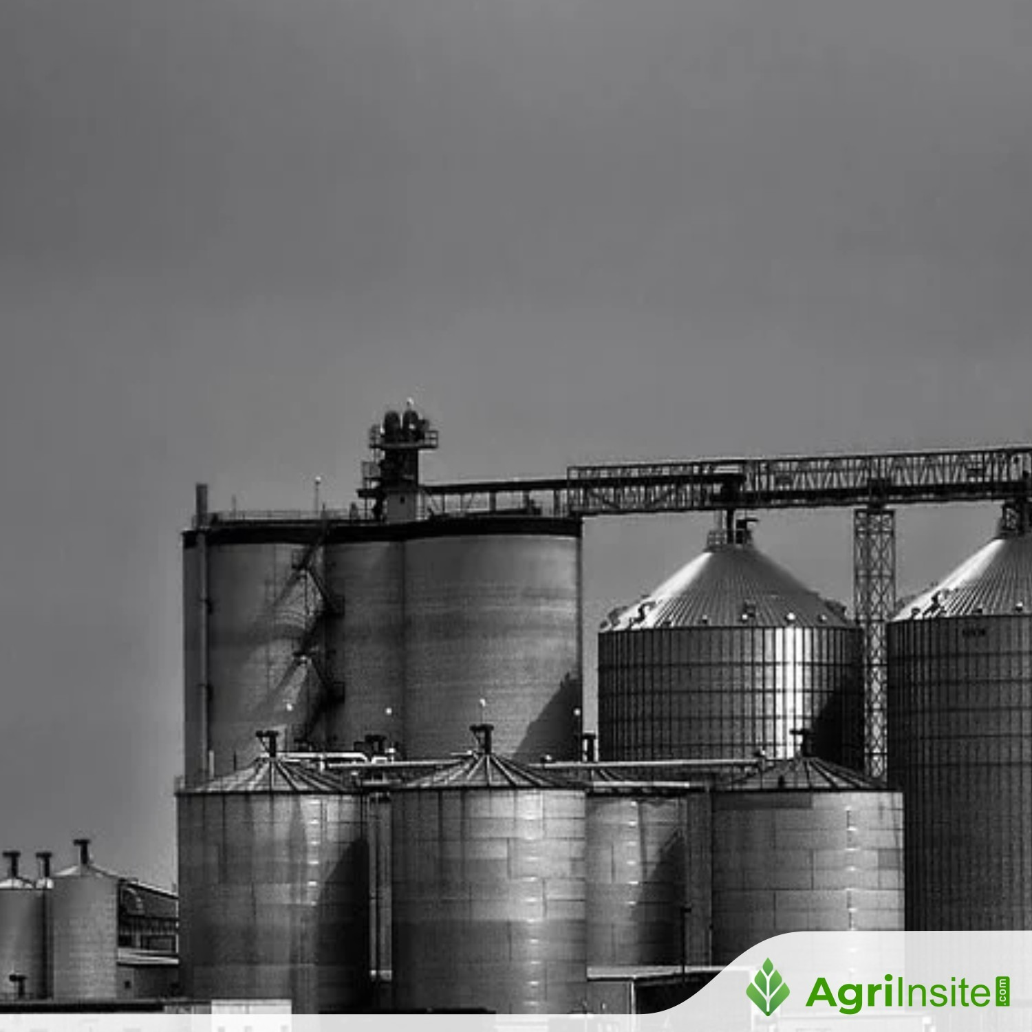 EIA increases forecast for 2025 fuel ethanol production AgriInsite