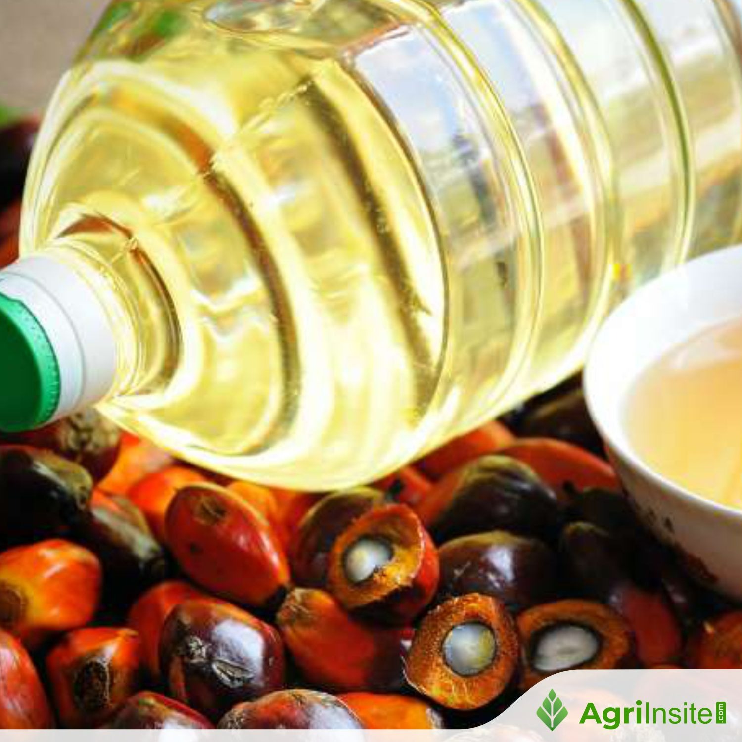 Palm oil gains on bargain buying