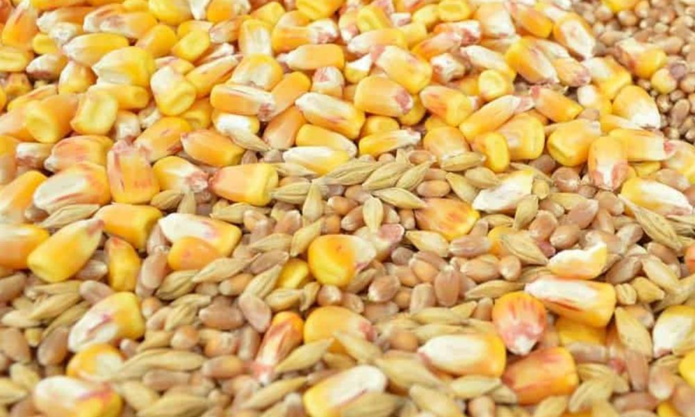 Africa’s food inflation went to 21.26 in April, pushed lower by maize