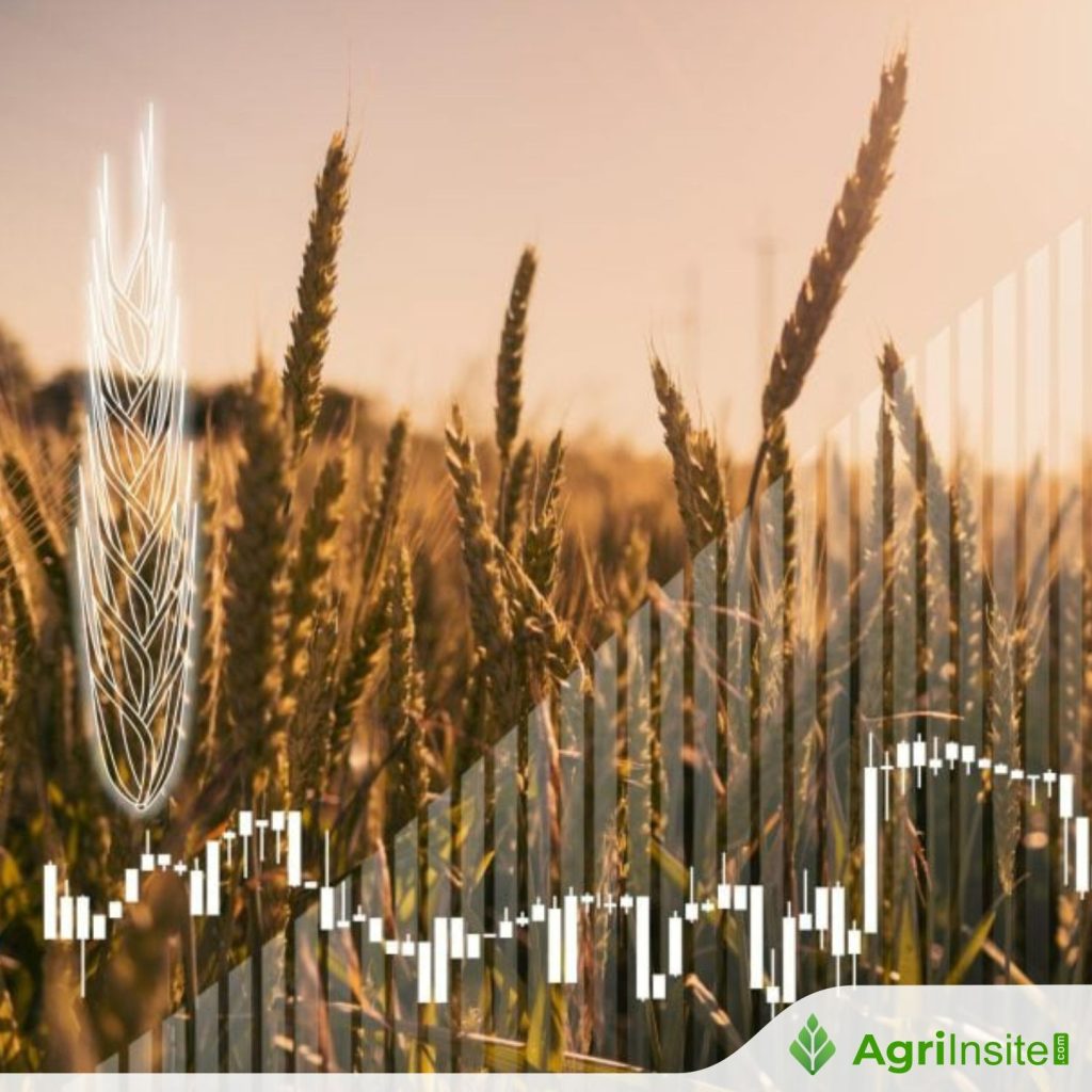 Explore the Latest Agri Commodity News at AgriInsite