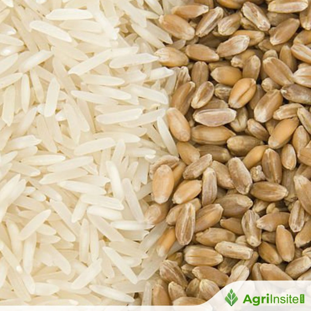 Govt to sell rice for ethanol at ₹2320/qtl, wheat to millers at ₹2585 ...